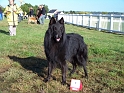 100_7031_sparfel_des_gardiens_de_lhermine