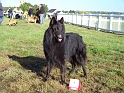 100_7032_sparfel_des_gardiens_de_lhermine