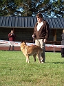 100_7038_dundee_du_mas_de_la_galandie
