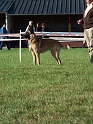 100_7039_dundee_du_mas_de_la_galandie