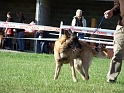 100_7040_dundee_du_mas_de_la_galandie