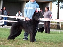 100_7048_ellan_de_la_baie_de_lenfer