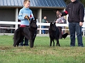 100_7054_classe_jeune_femelles