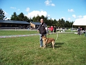 100_7111_maski_du_van_lappeenranta_Bandit