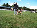 100_7112_maski_du_van_lappeenranta_Bandit