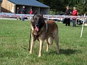 100_7113_maski_du_van_lappeenranta_Bandit