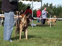 100_7114_maski_du_van_lappeenranta_Bandit