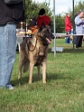 100_7116_maski_du_van_lappeenranta_Bandit