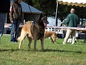 100_7117_maski_du_van_lappeenranta_Bandit