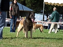 100_7118_maski_du_van_lappeenranta_Bandit