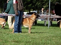 100_7122_venzo_des_iles_fidji