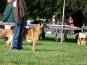 100_7123_venzo_des_iles_fidji