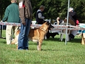 100_7125_venzo_des_iles_fidji