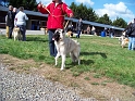 100_7127_ezyane_du_parc_jonageois