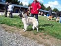 100_7128_ezyane_du_parc_jonageois