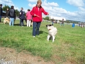 100_7129_ezyane_du_parc_jonageois