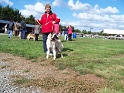 100_7132_ezyane_du_parc_jonageois