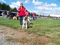 100_7133_ezyane_du_parc_jonageois