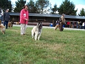 100_7135_douez_deuz_bro_an_avel