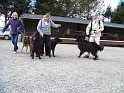 100_7156_milan_fara_bounty
