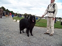 100_7169_bounty_des_chemins_de_la_thebaudiere