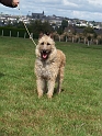 100_7205_galipette-deroudur