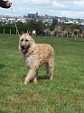 100_7206_galipette-deroudur