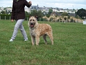 100_7207_galipette-deroudur