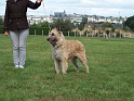 100_7208_galipette-deroudur