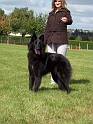 100_7224_delice_du_castel_dargences
