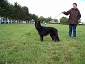 100_7241_farah_gardien_des_korrigans