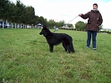100_7242_farah_gardien_des_korrigans