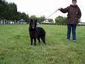 100_7243_farah_gardien_des_korrigans
