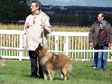 100_7250_baxter_de_jerrie_black