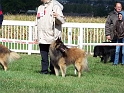 100_7251_baxter_de_jerrie_black