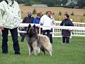 100_7260_dolwen_de_condivicnum