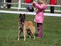100_7270_direenka_du_bois_de_la_licorne