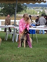 100_7280_direenka_du_bois_de_la_licorne
