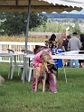 100_7281_direenka_du_bois_de_la_licorne