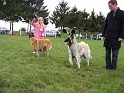 100_7286_direenka_et_daxia