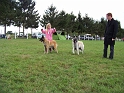100_7288_direenka_et_daxia