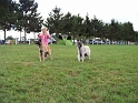 100_7292_direenka_et_daxia