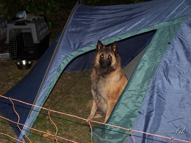100_9007.JPG