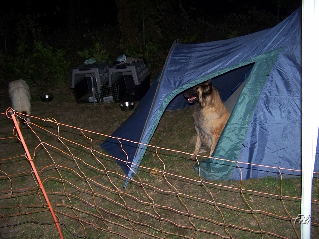 100_9008.JPG