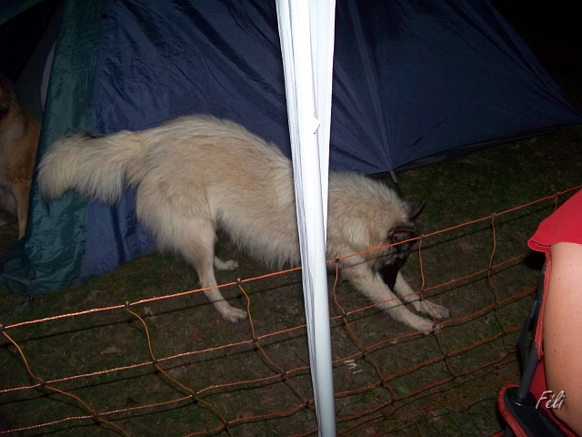 100_9009.JPG
