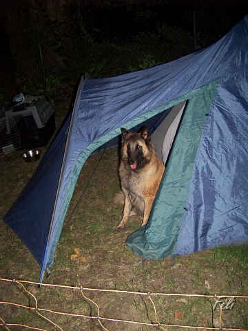 100_9010.JPG