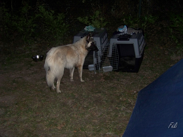 100_9022.JPG