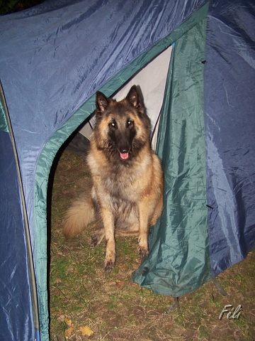 100_9023.JPG