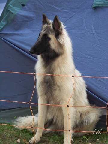 100_9050.JPG
