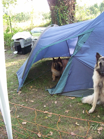 100_9051.JPG